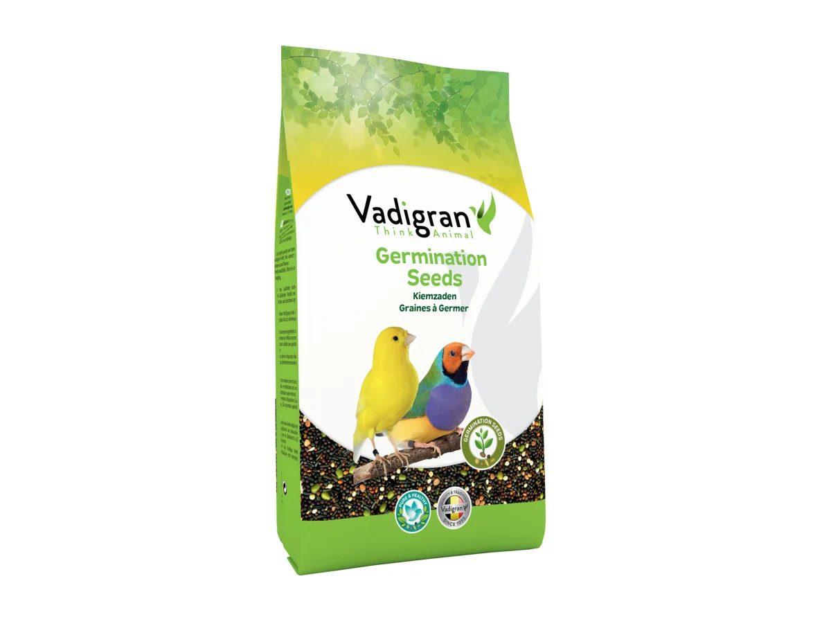 Kiemzaad Original – 1 kg